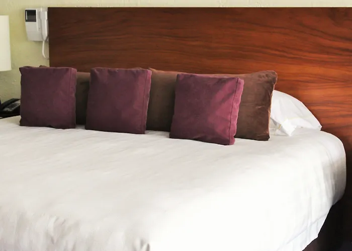 Camino Real Polanco Hotel Mexico City