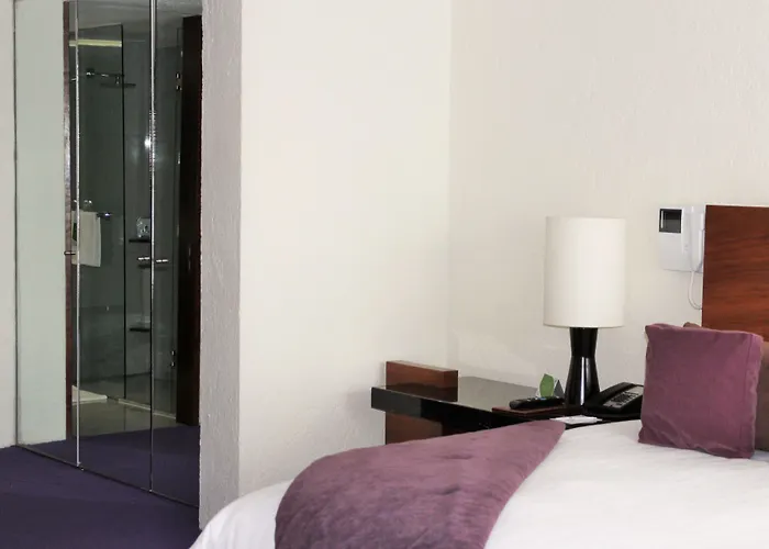 Camino Real Polanco 5*